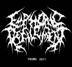 Euphoric Defilement : Promo 2011